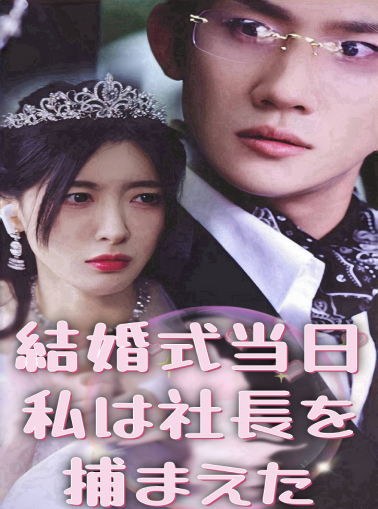結婚式の逃亡日に一緒に暮らすCEOを捕まえたミニシリーズ