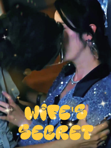 Wife's Secret Mini Series