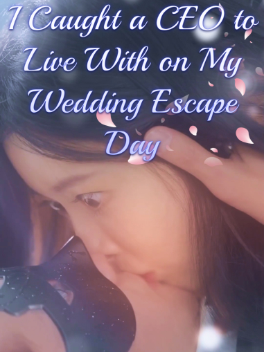 I Caught a CEO to Live With on My Wedding Escape Day Mini Series