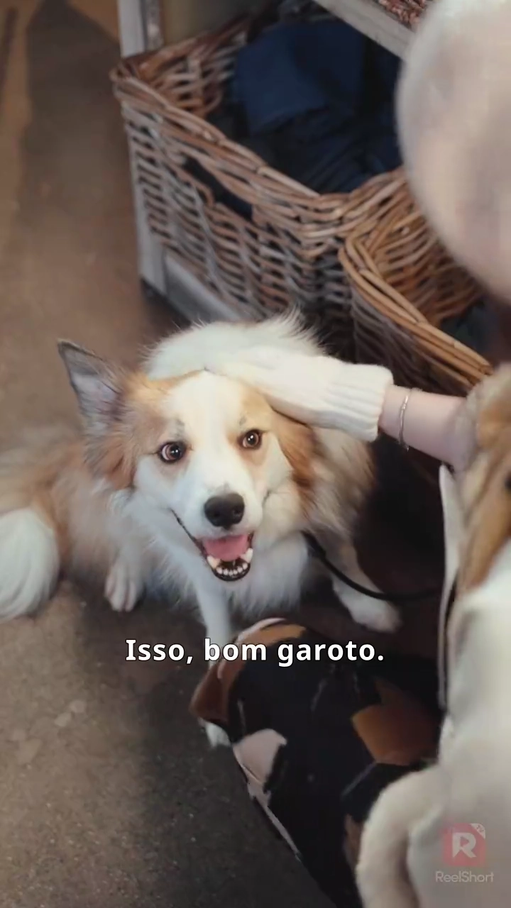 Cozinhando Meu Caminho de Volta ao AmorFoto