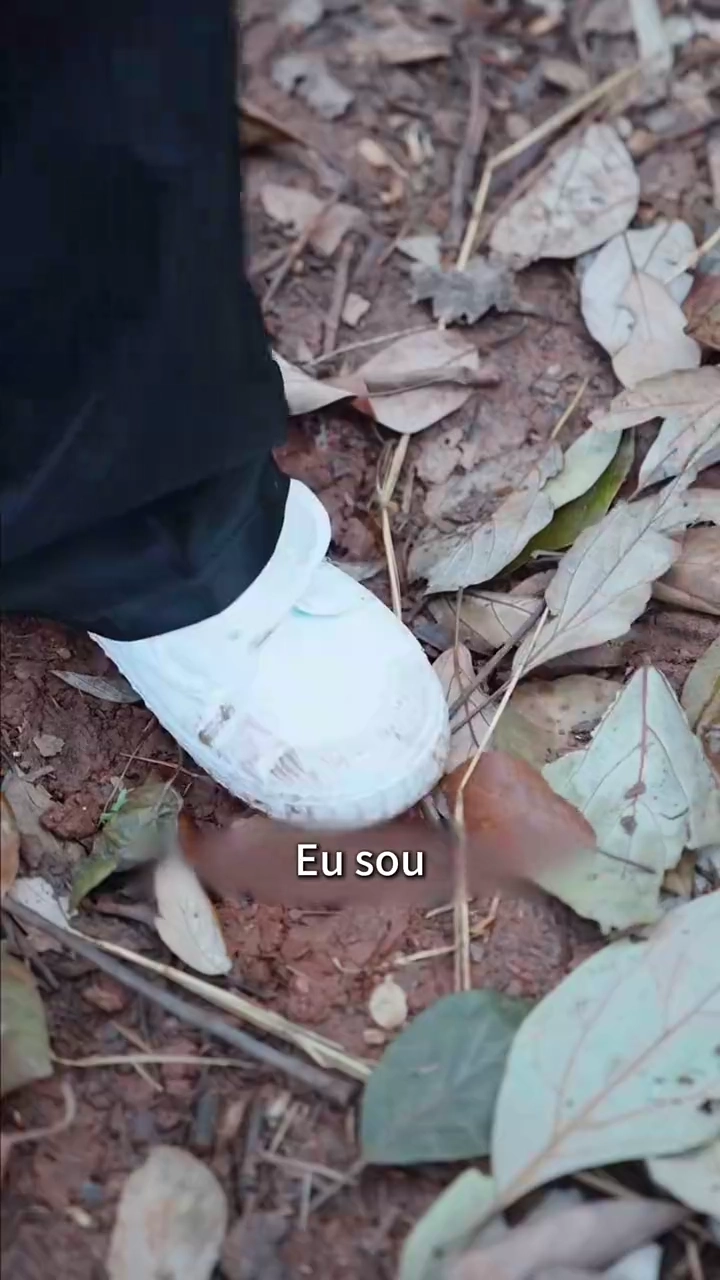 Guardião da FortunaFoto