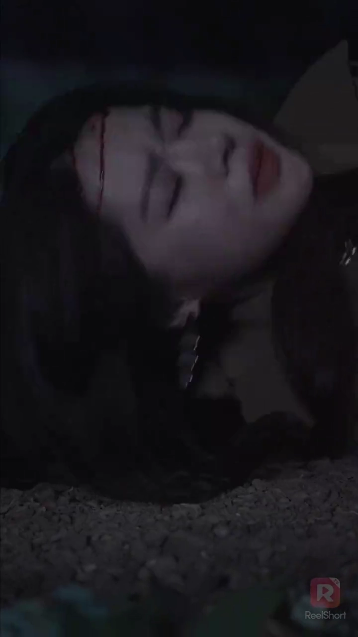 Vamos Viver e Amar NovamenteFoto