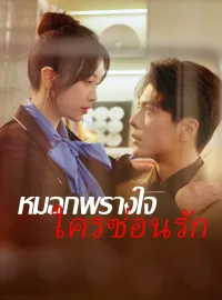 หมอกพรางใจ ใครซ่อนรักมินิซีรีส์