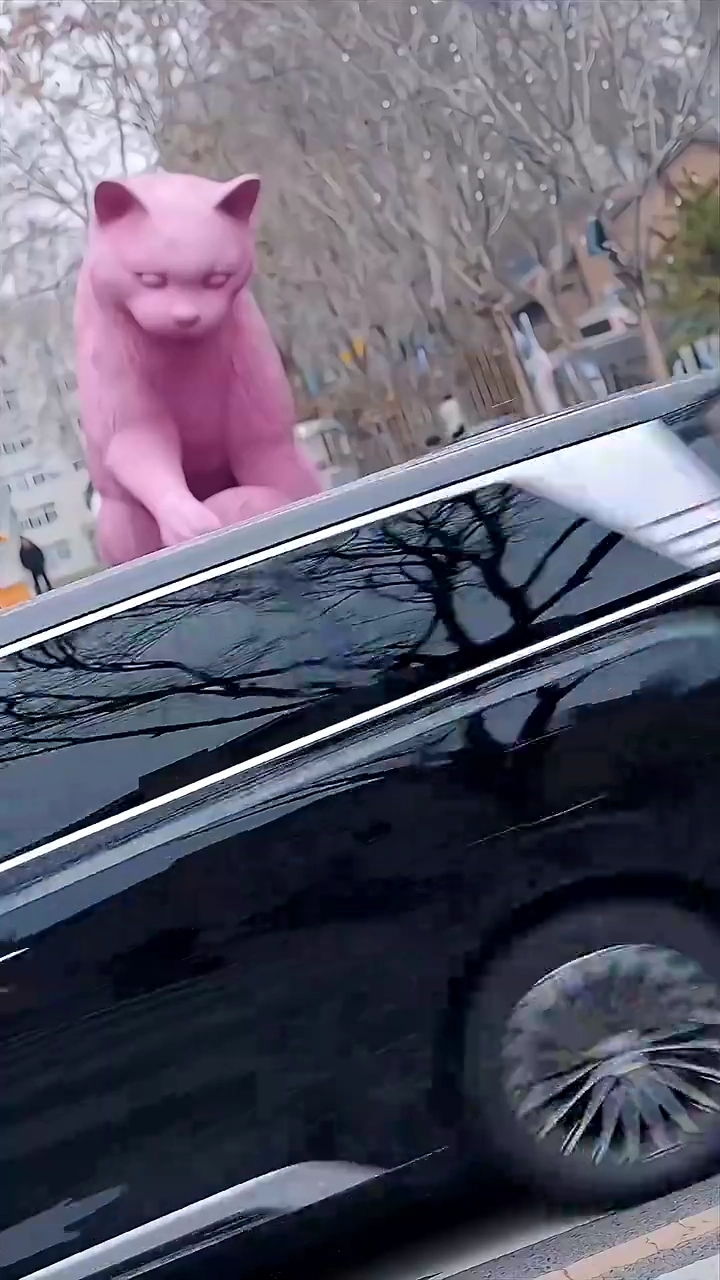 The Hunt For The Lucky KissPhoto