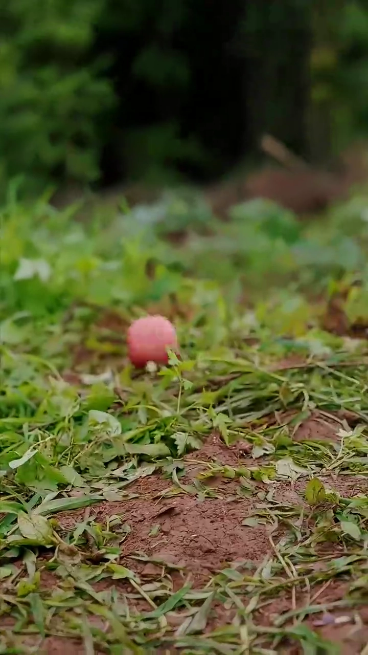 A Laborer's Jacket, A Billionaire's HeartPhoto