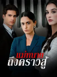 แม่ทนายถึงคราวสู้มินิซีรีส์