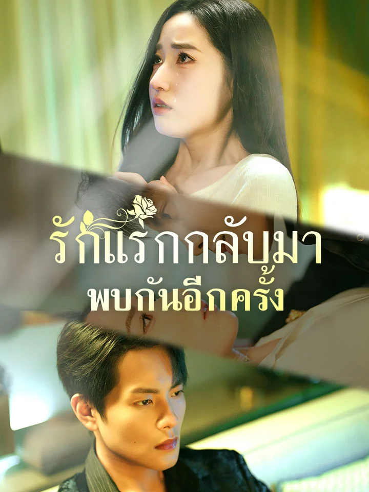 รักแรกกลับมาพบกันอีกครั้งมินิซีรีส์