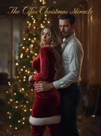 The CEO’s Christmas Miracle Novel Cover