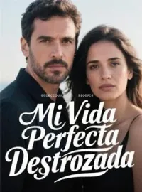 Portada de la novela Mi Vida Perfecta Destrozada