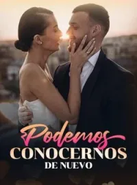 Portada de la novela Podemos conocernos de nuevo