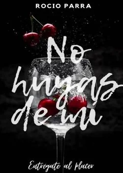 Portada de la novela No huyas de mi