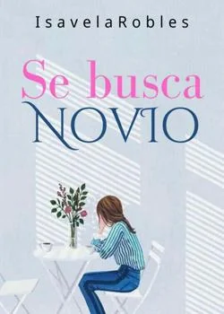 Portada de la novela Se busca novio