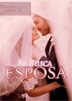 Portada de la novela Se Busca Esposa.