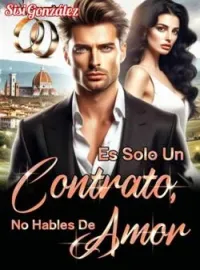 Portada de la novela Es Solo Un Contrato, No Hables De Amor