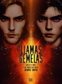 Portada de la novela Llamas gemelas (Libro 1)