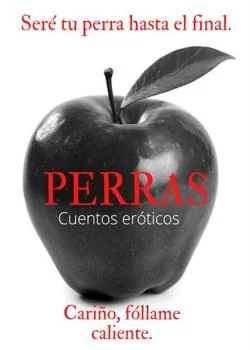 Portada de la novela Cuentos Placenteros.