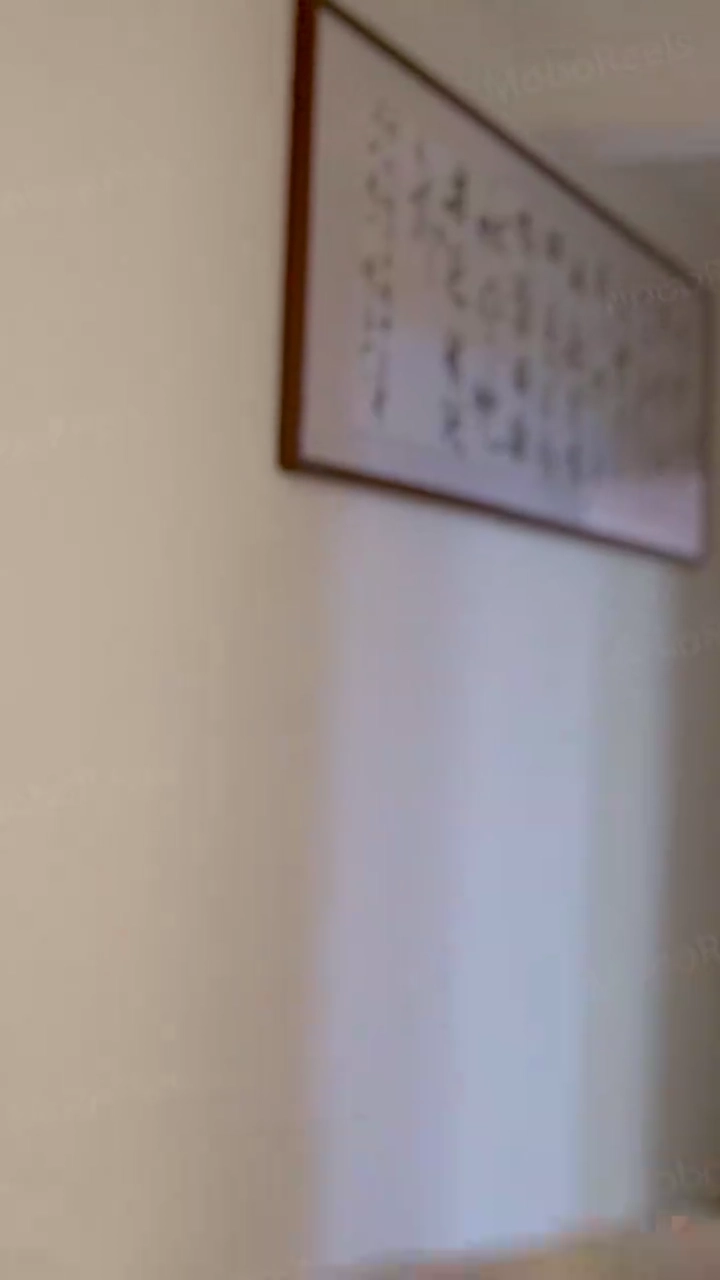 Suami Buaya Daratkufoto