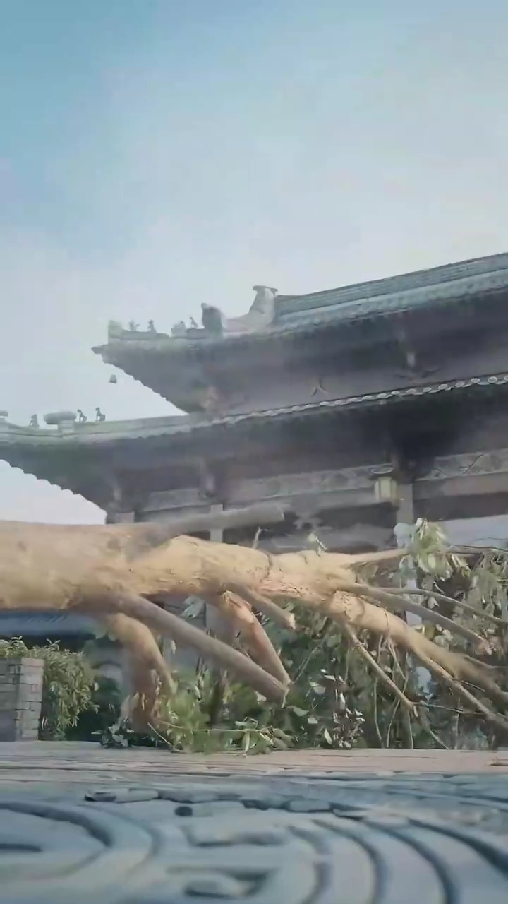 Ambisi Tersembunyi Sang Bodohfoto