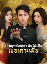 จอมยุทธ์ลงเขา ฉันไม่เป็นเขยเกาะเมียมินิซีรีส์