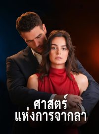 ศาสตร์แห่งการจากลาซีรีส์สั้น