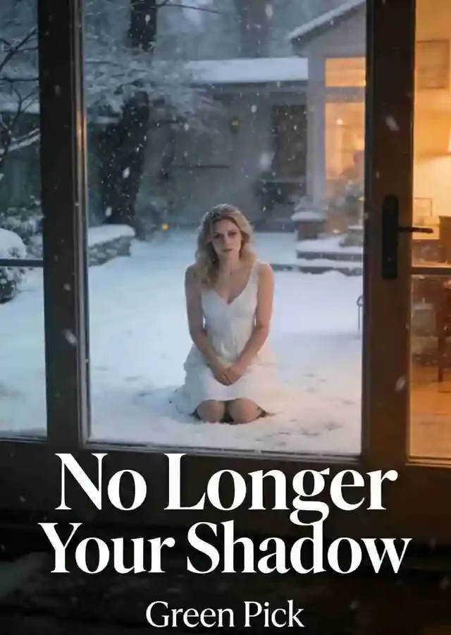 No Longer Your Shadow Novel Cover