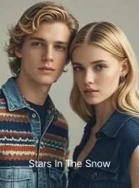 Stars In The Snow Novel Cover