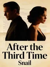 After the Third Time Novel Cover