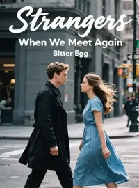Strangers When We Meet Again Novel Cover