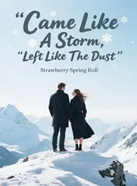 Came Like A Storm, Left Like The Dust Novel Cover