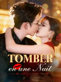 Tomber en une NuitMini-séries