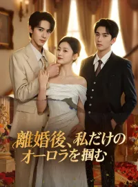 離婚後、私だけのオーロラを掴むミニシリーズ