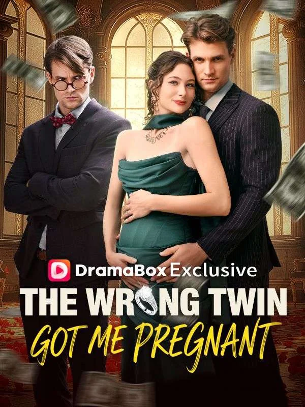 The Wrong Twin Got Me Pregnant cover art