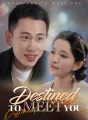 Destined to Meet You Review
