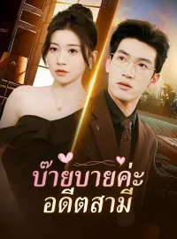 บ๊ายบายค่ะ อดีตสามีมินิซีรีส์