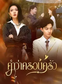 คำว่าครอบครัวมินิซีรีส์