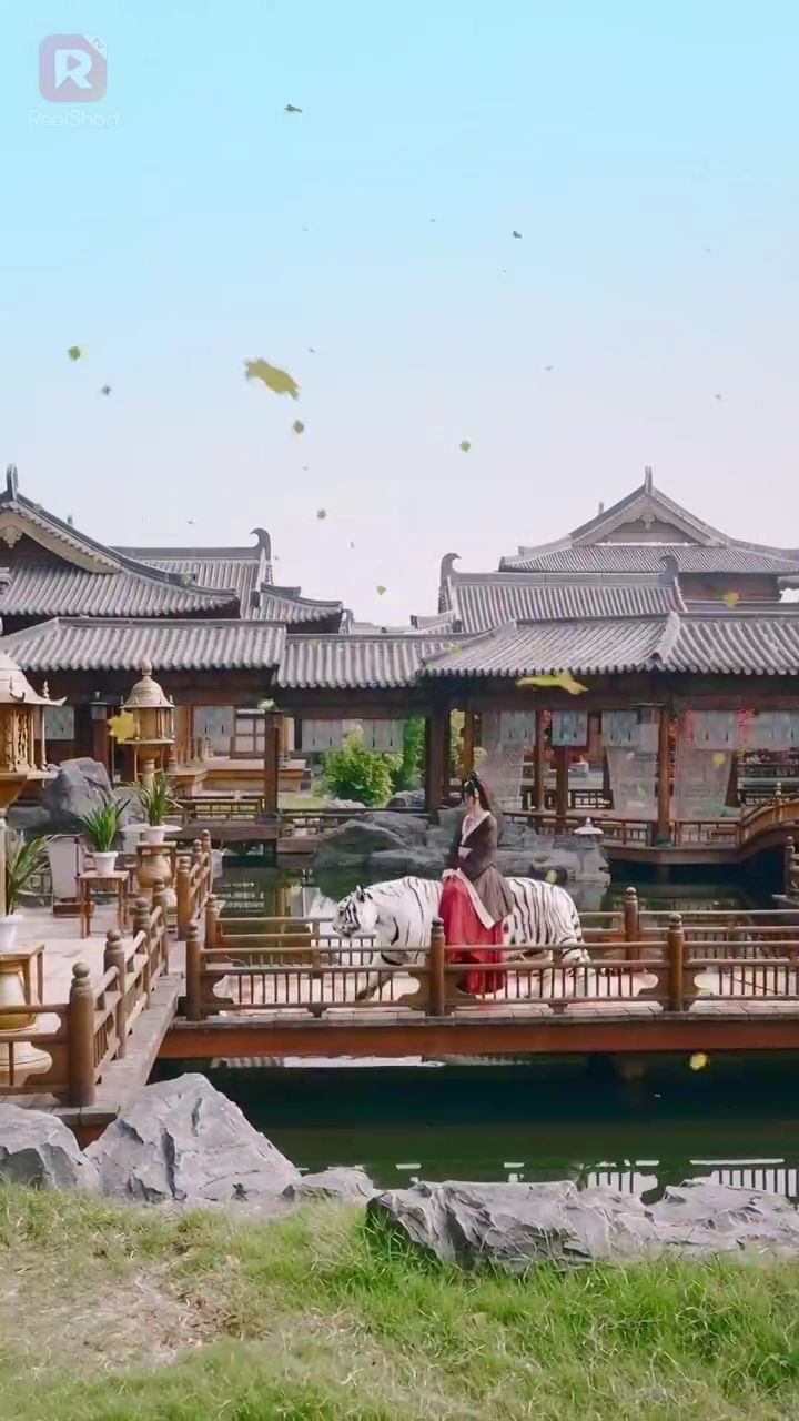 สิ่งที่เคยรังเกียจ บัดนี้กลับไล่ตามรูปภาพ