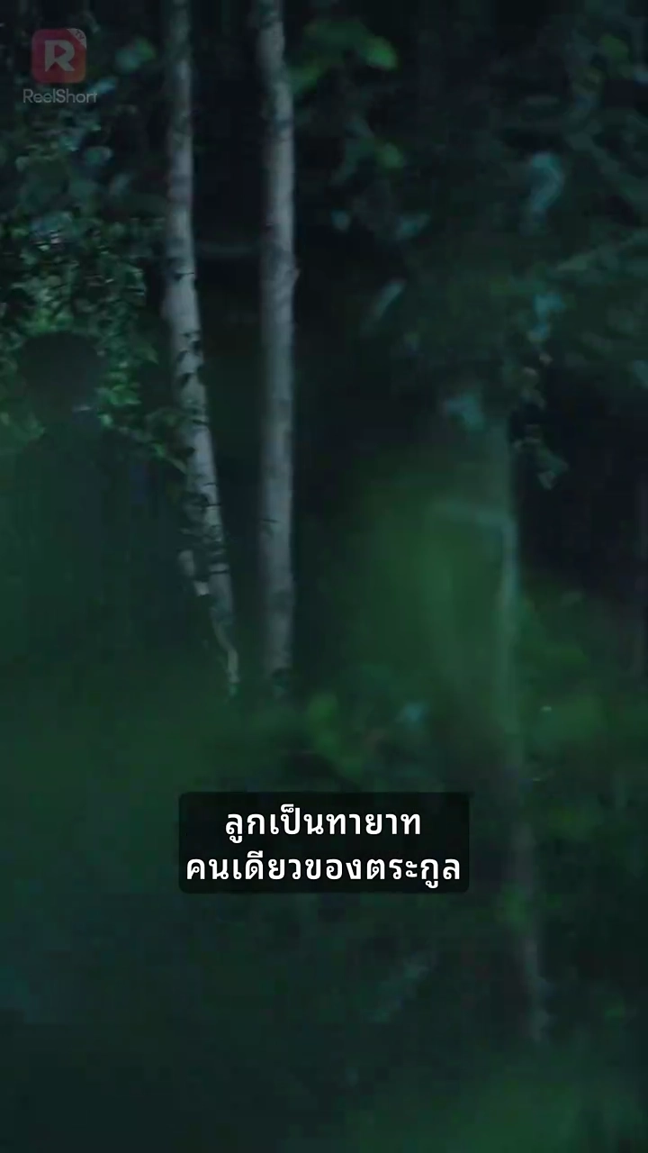 การล้างแค้นของทายาทตัวจริงรูปภาพ