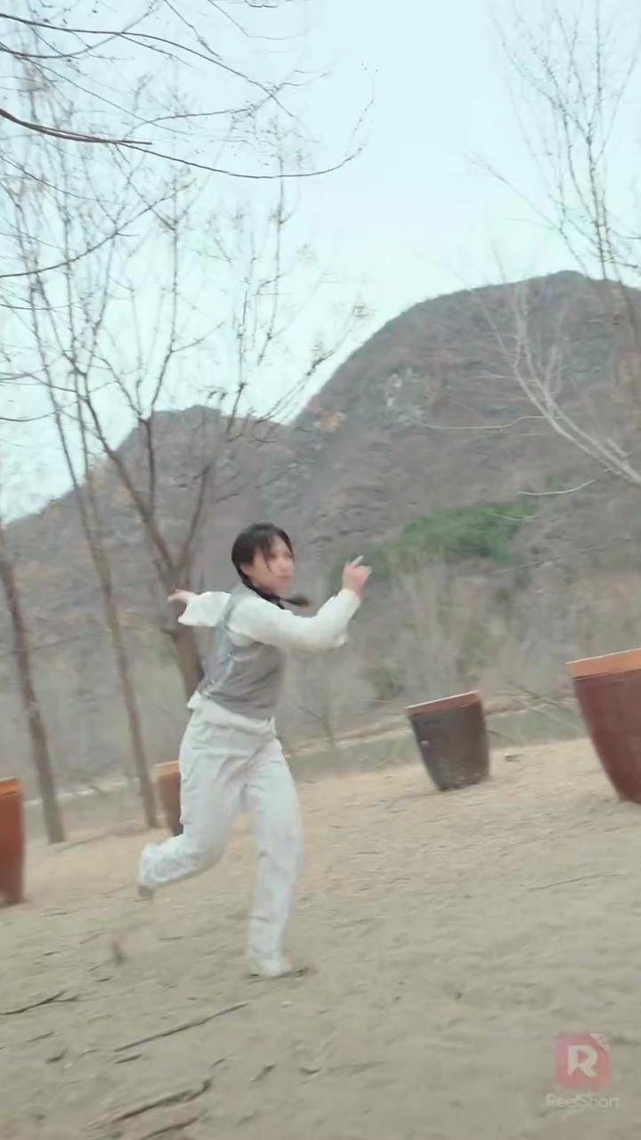 ไทชิผู้ซ่อนตัวรูปภาพ