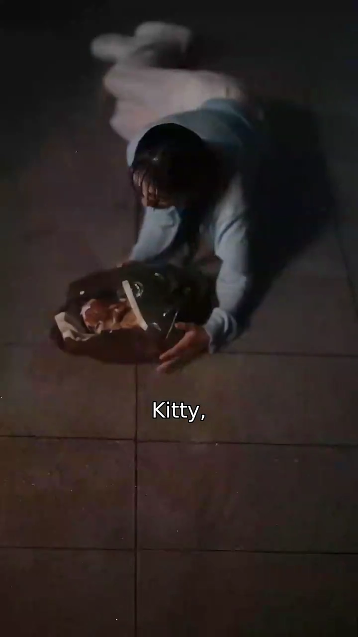 Quando a Mamãe Vira GatinhoFoto