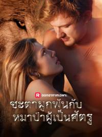ชะตาผูกพันกับหมาป่าผู้เป็นศัตรูซีรีส์สั้น