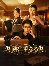 (吹替版)傷跡に重なる傷ミニシリーズ