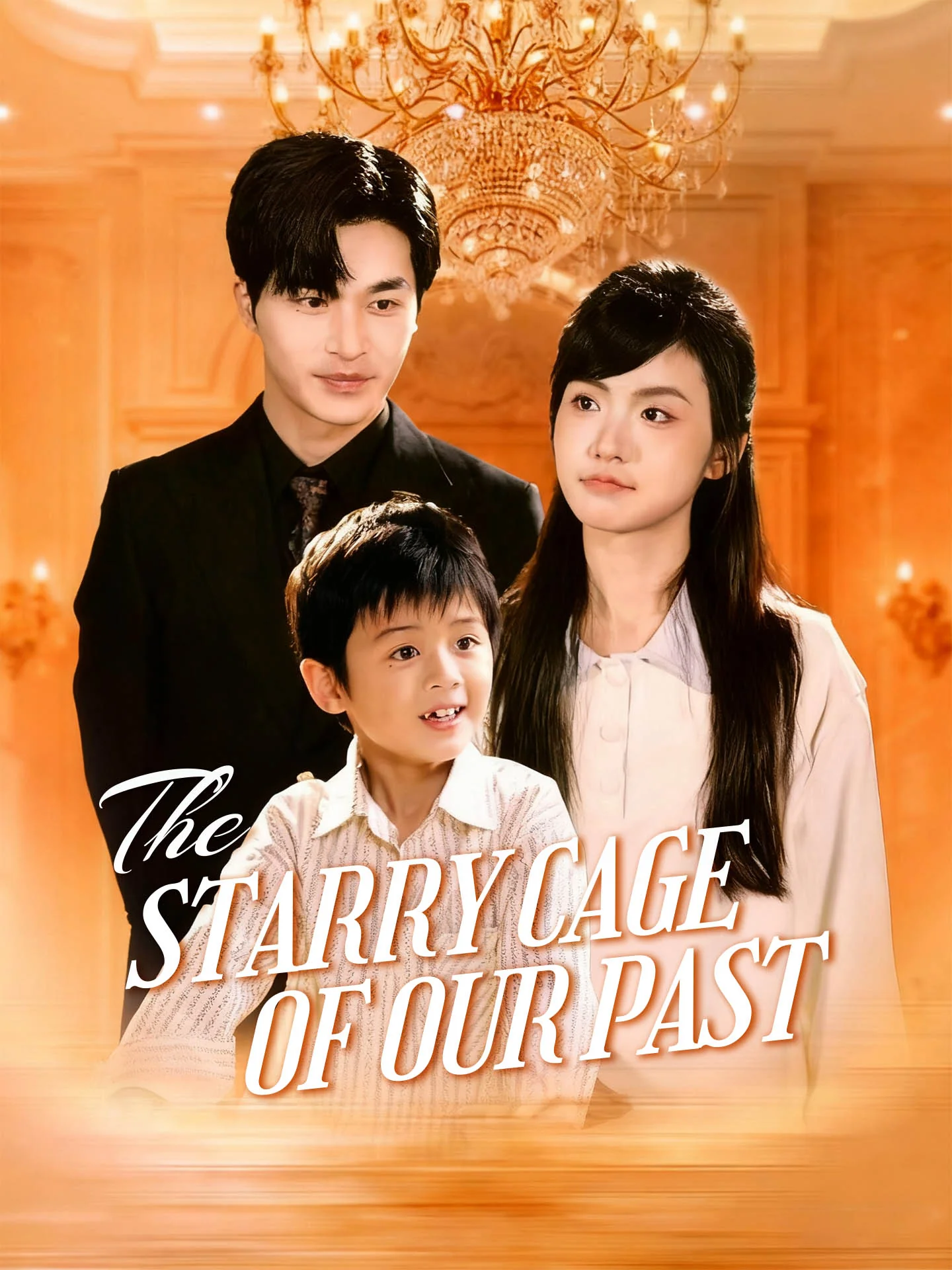 The Starry Cage of Our Past cover art