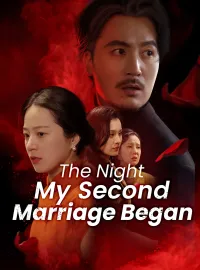 The Night My Second Marriage BeganMini Series