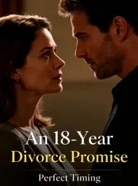 An 18-Year Divorce Promise Novel Cover