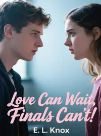 Love Can Wait, Finals Can't Novel Cover