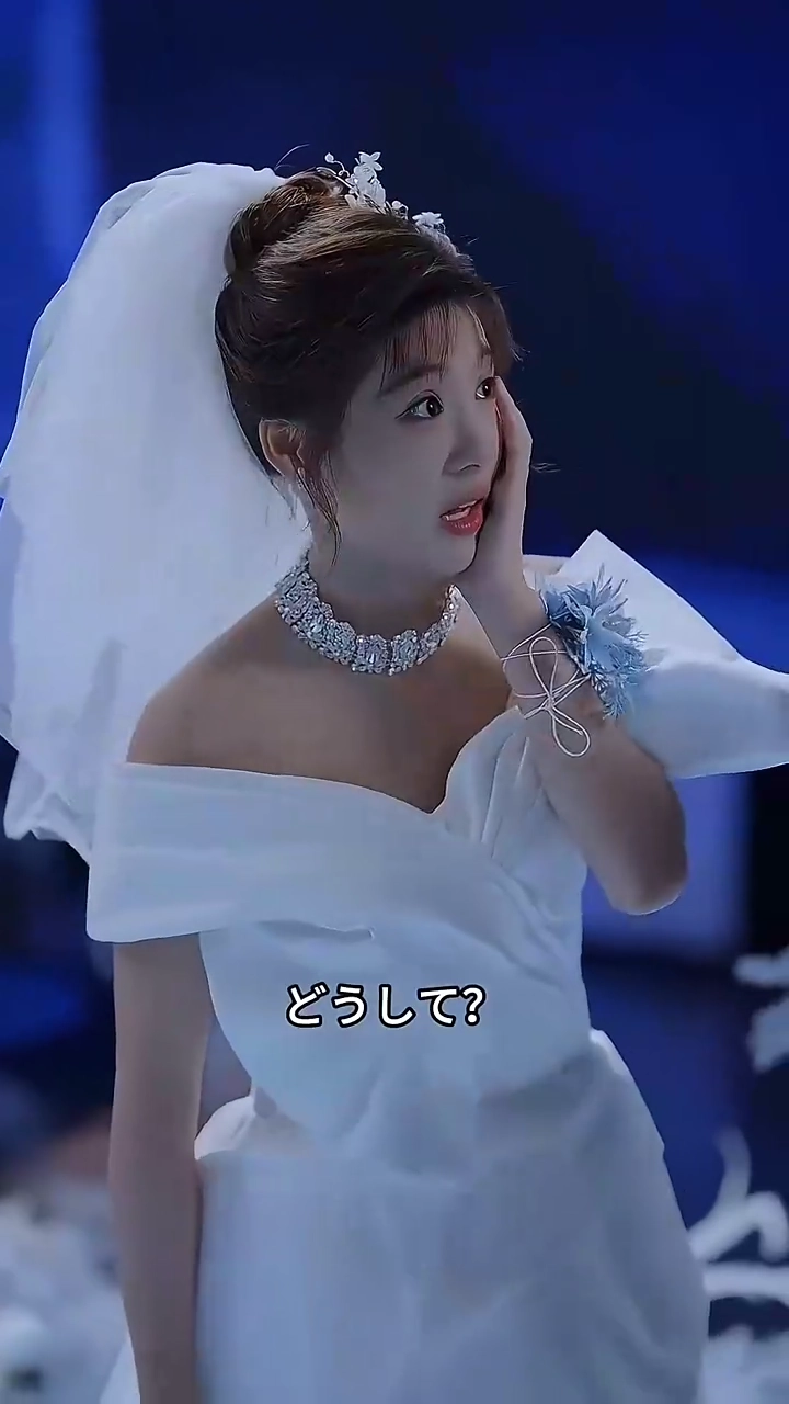 結婚してから、恋が始まりました写真