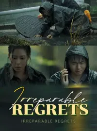 Irreparable RegretsMini Series