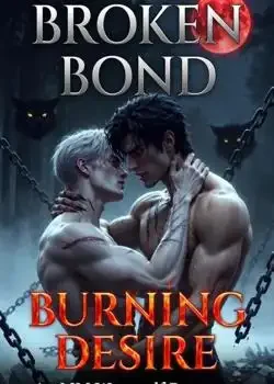 Broken bond, burning desire  Novel Cover