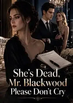 Sir, She's Dead And Will Never Return Novel Cover
