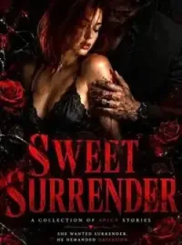 SWEET SURRENDER: A COLLECTION OF SPICY STORIES Novel Cover